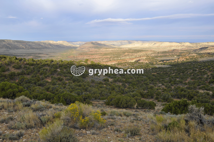 Milieu semi-désertique Wyoming - gryphea.com